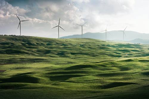 Green field with windmills