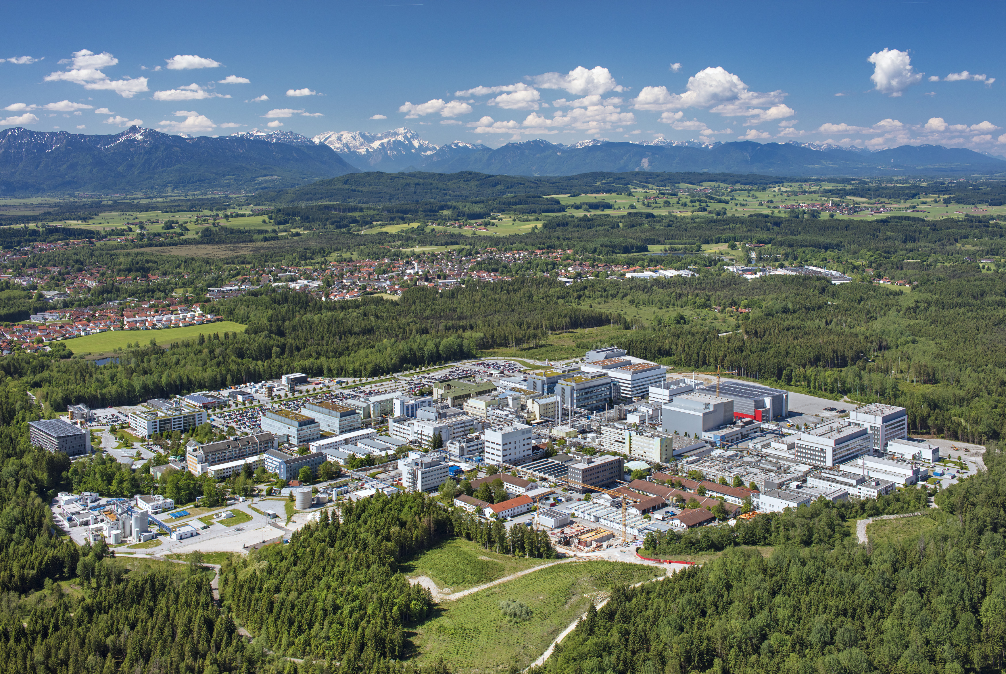 roche picture