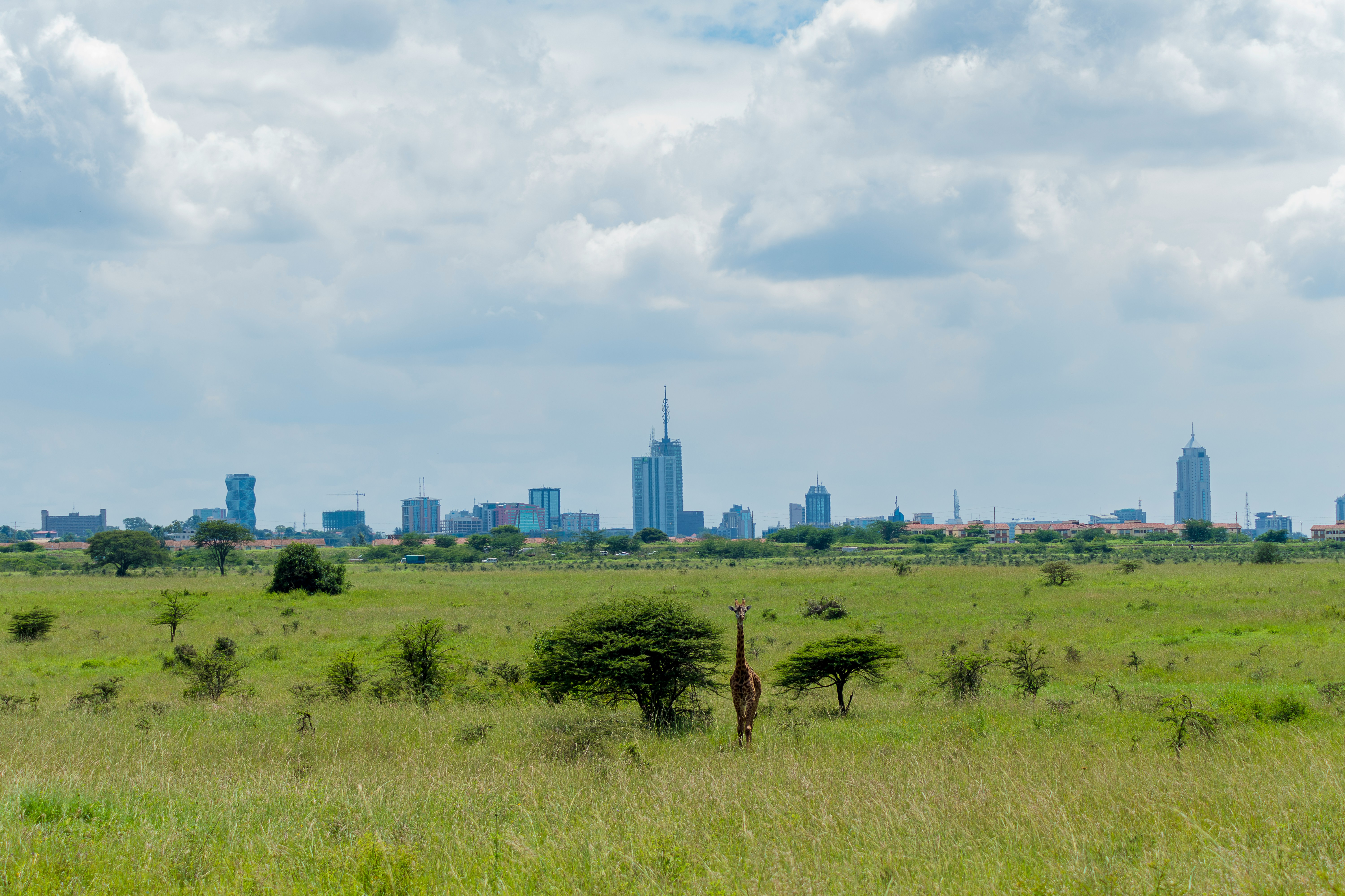 Picture of Nairobi