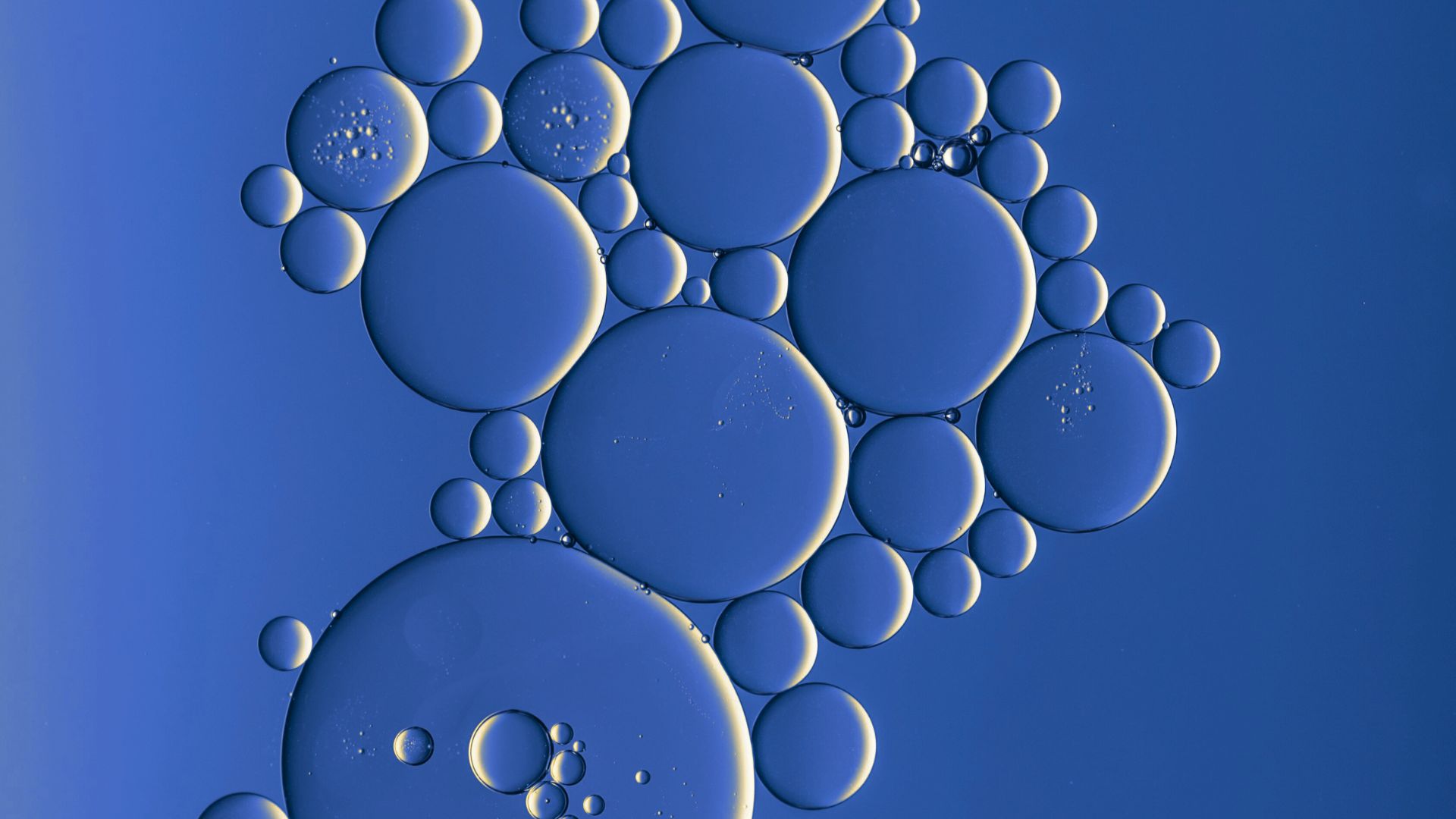Bubbles